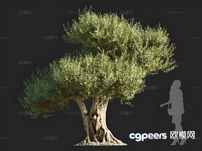A Tree With A Woman 3D Model - 16459 - CORONA Render