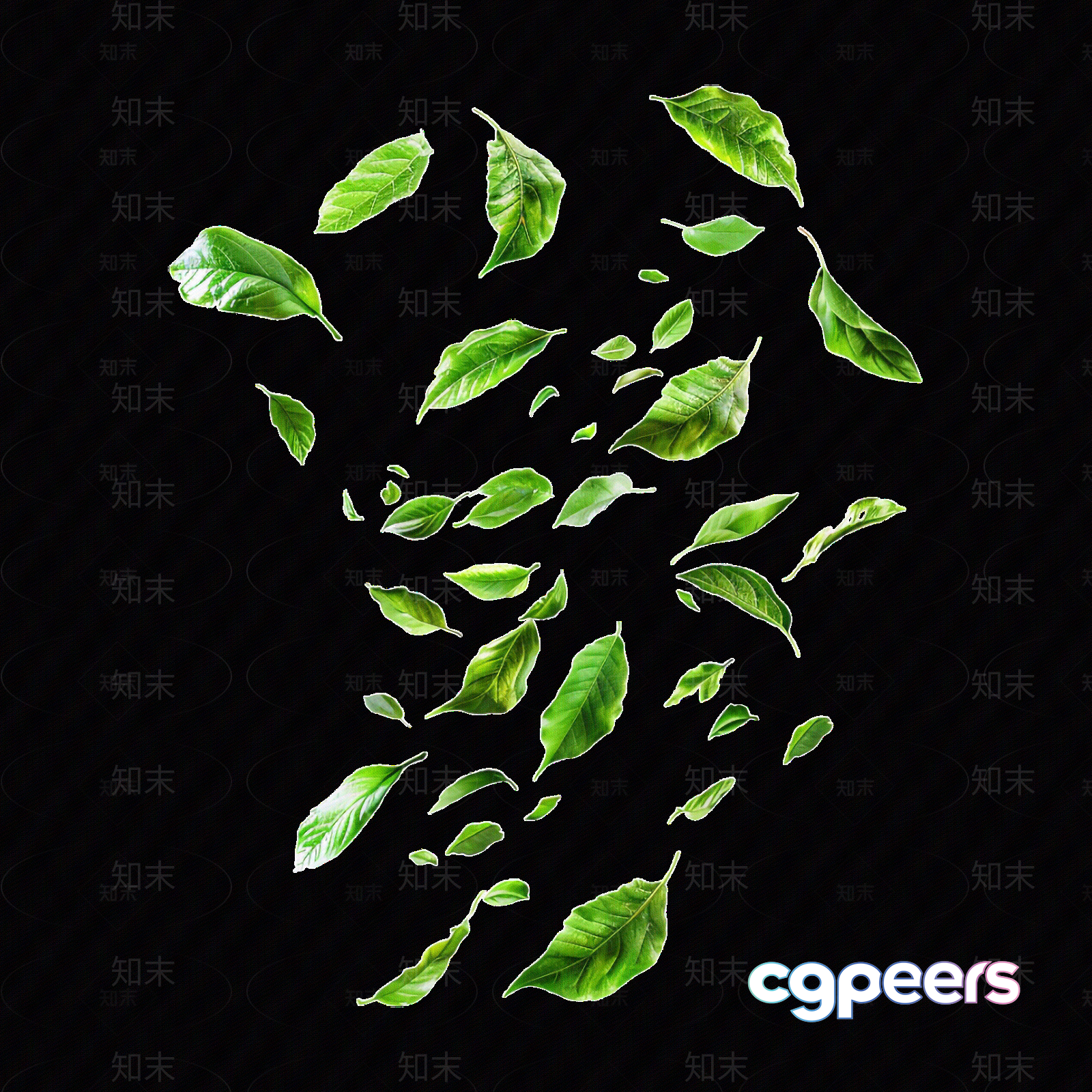 A Collection Of Green Leaves 3D Model - 14292 - VRAY Render