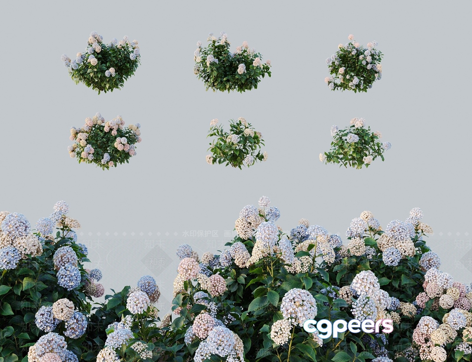 Flowers With Green Leaves 3D Model - 3805 - VRAY Render