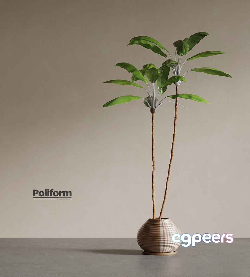 A Plant In A Vase 3D Model - 9025 - VRAY Render A Plant In A Vase 3D Model - 9025 - VRAY Render