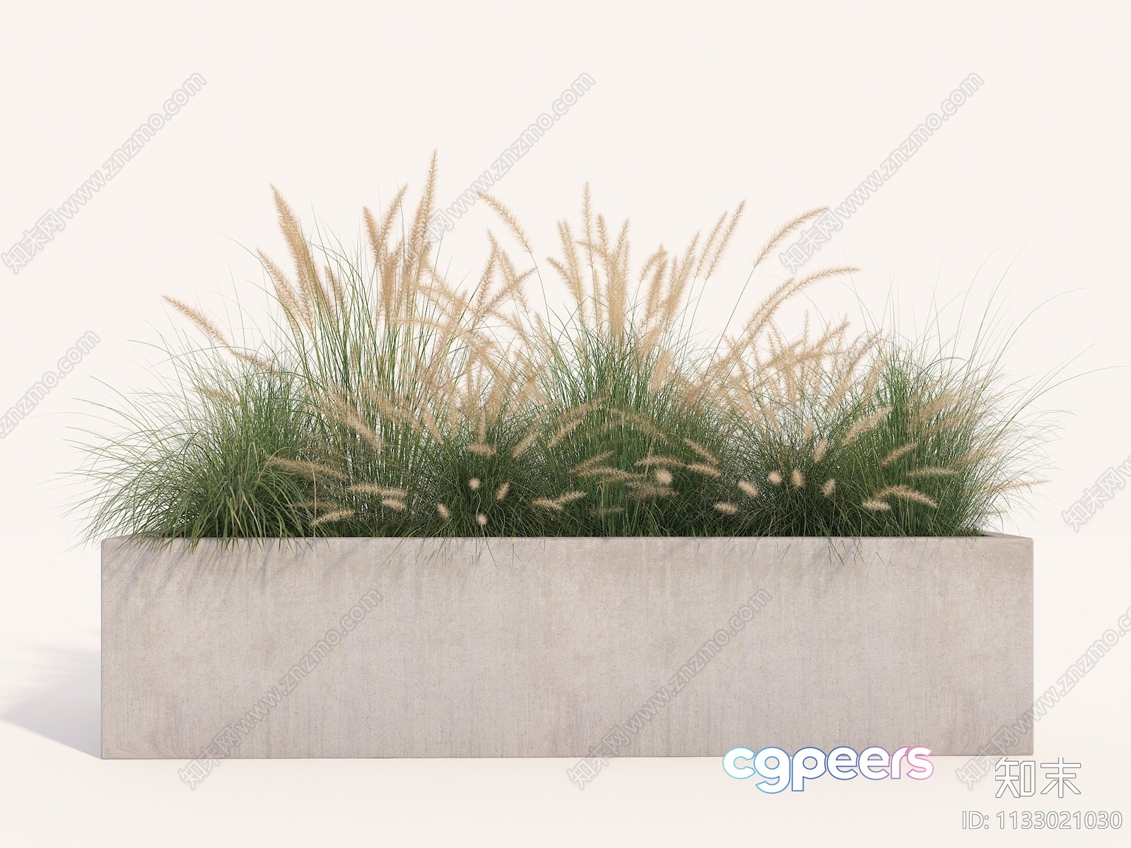 A Rectangular Concrete Planter With Green And Yellow Grass 3D Model - 11185 - VRAY Render