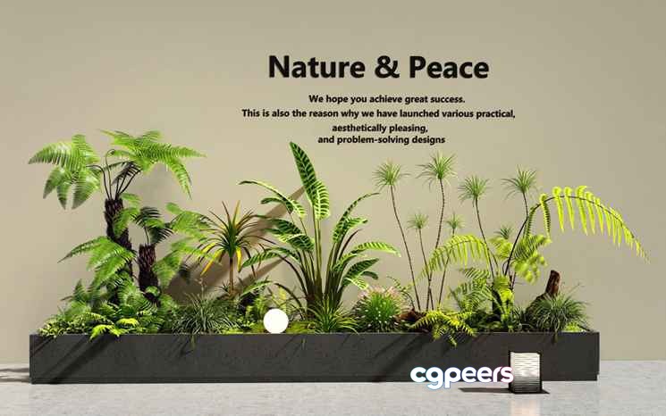 A Large Indoor Planter Box Filled With Various Plants 3D Model - 22506 - VRAY Render A Large Indoor Planter Box Filled With Various Plants 3D Model - 22506 - VRAY Render