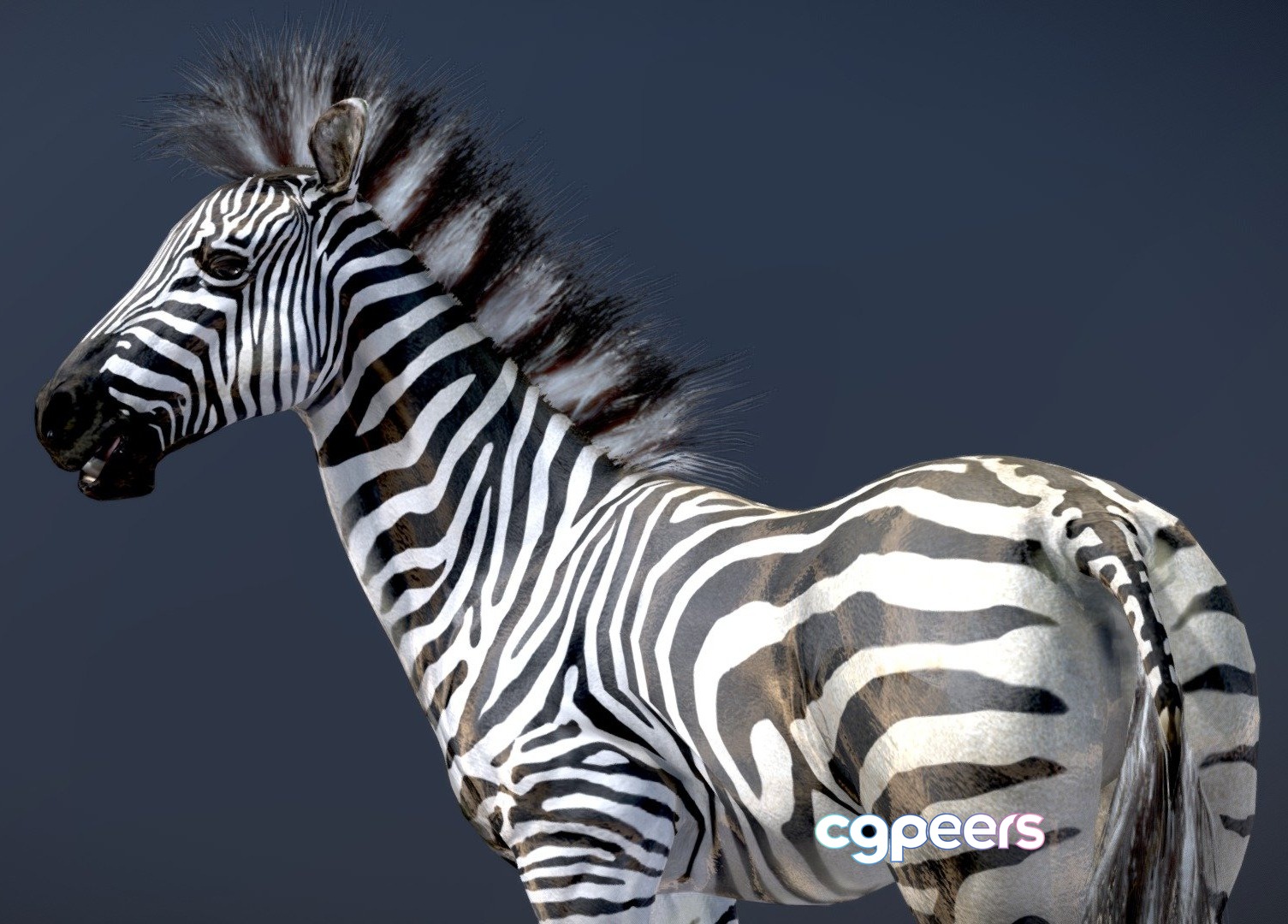 3D Game Assets - Plains Zebra 3D Game Assets - Plains Zebra