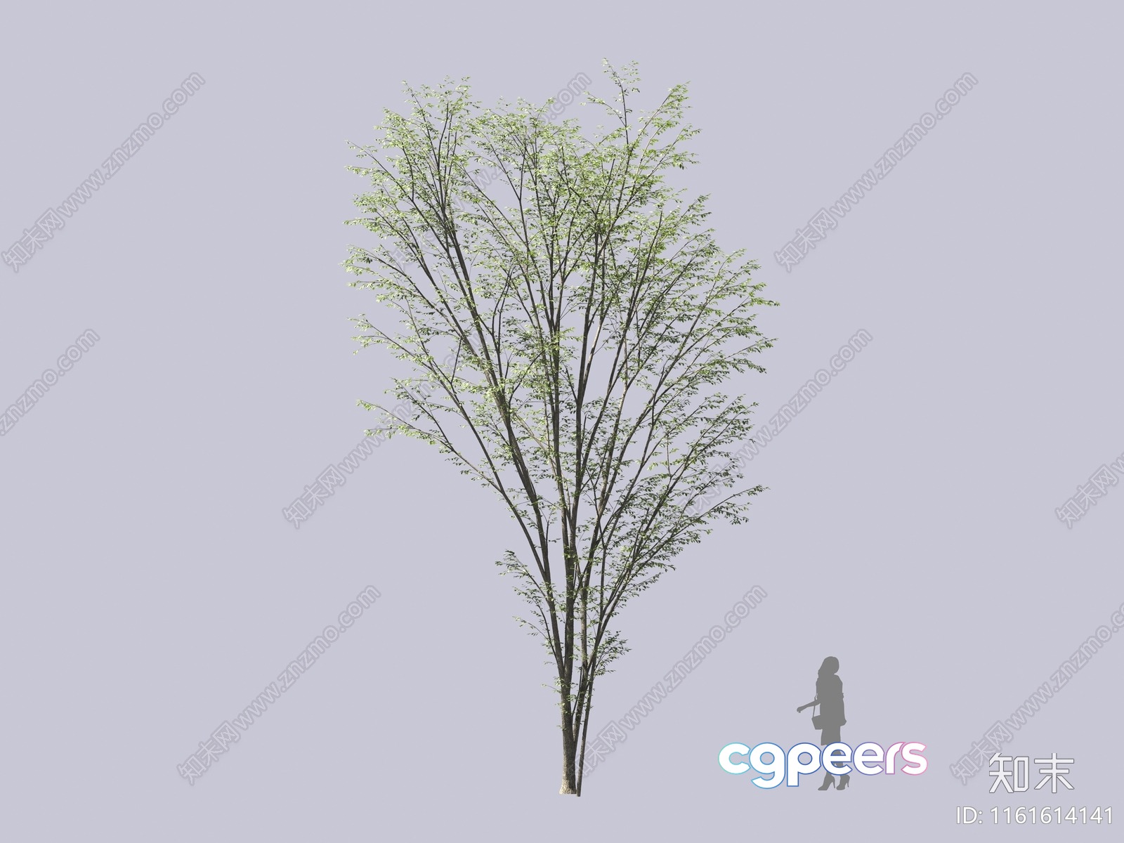 A Tree With A Woman Standing Next To It 3D Model - 16586 - VRAY Render A Tree With A Woman Standing Next To It 3D Model - 16586 - VRAY Render