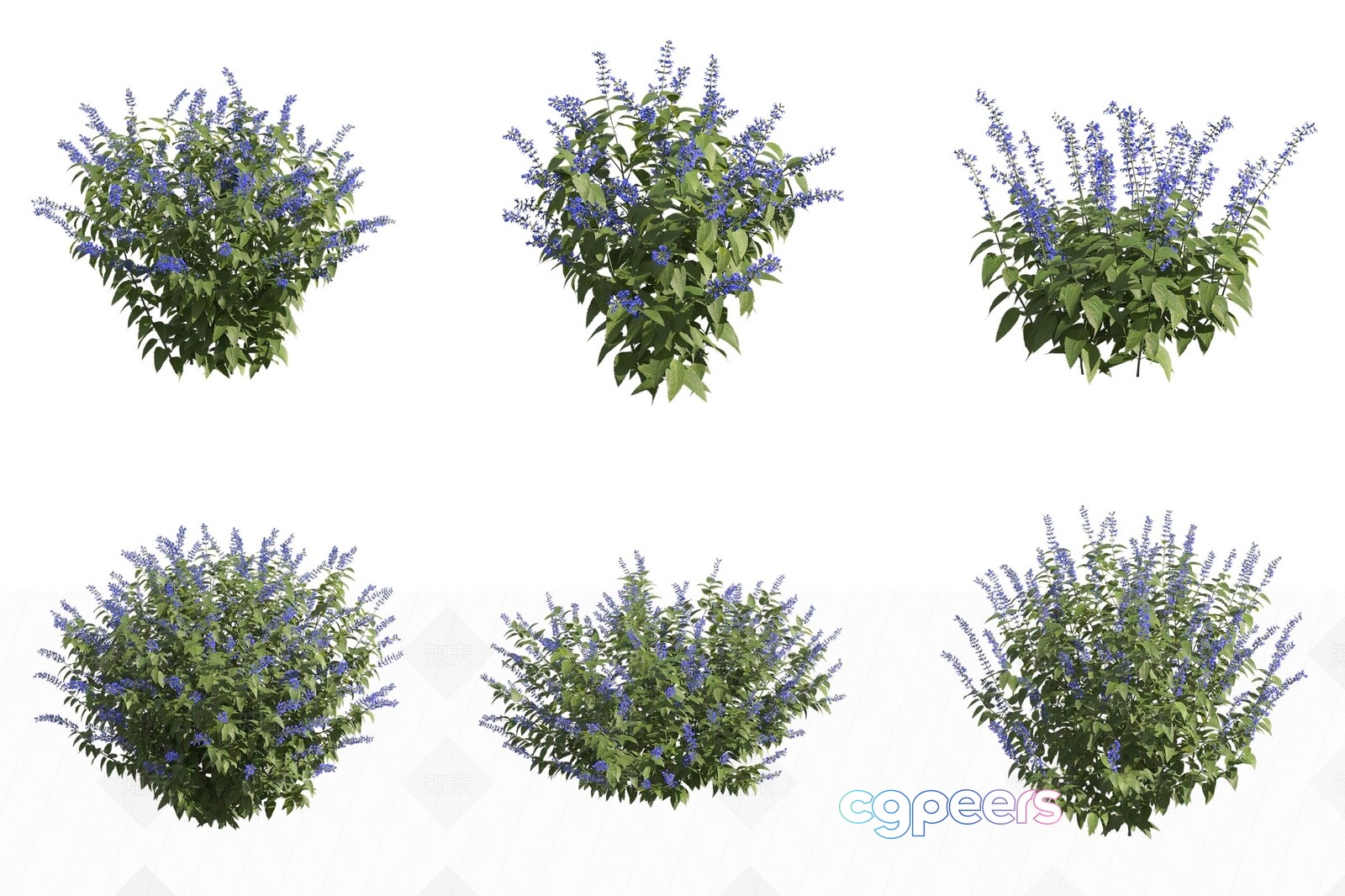 Floral Arrangement With Purple Flowers 3D Model - 11542 - VRAY Render Floral Arrangement With Purple Flowers 3D Model - 11542 - VRAY Render