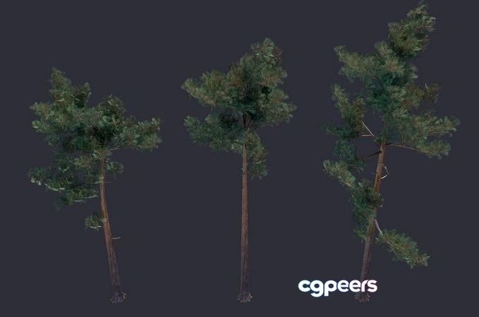 3D Game Assets - Pine Tree Low-poly 3D Game Assets - Pine Tree Low-poly