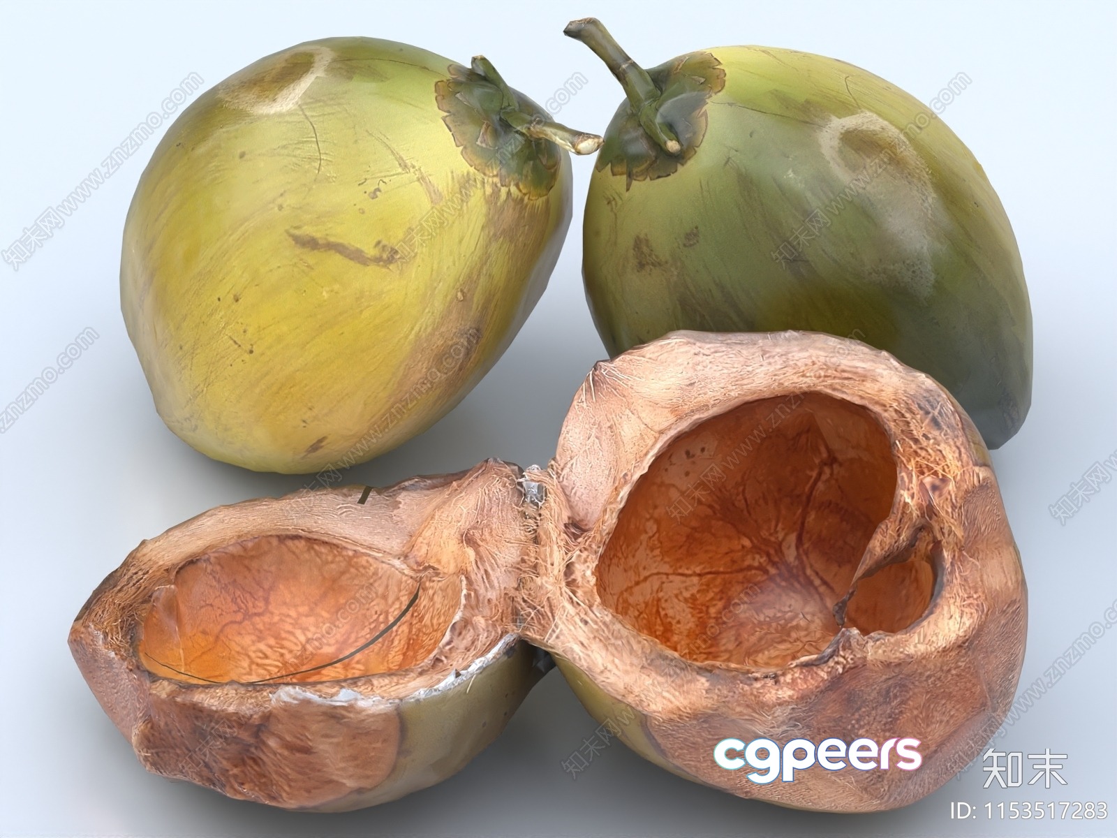 Coconuts 3D Model - 13668 - VRAY Render Coconuts 3D Model - 13668 - VRAY Render
