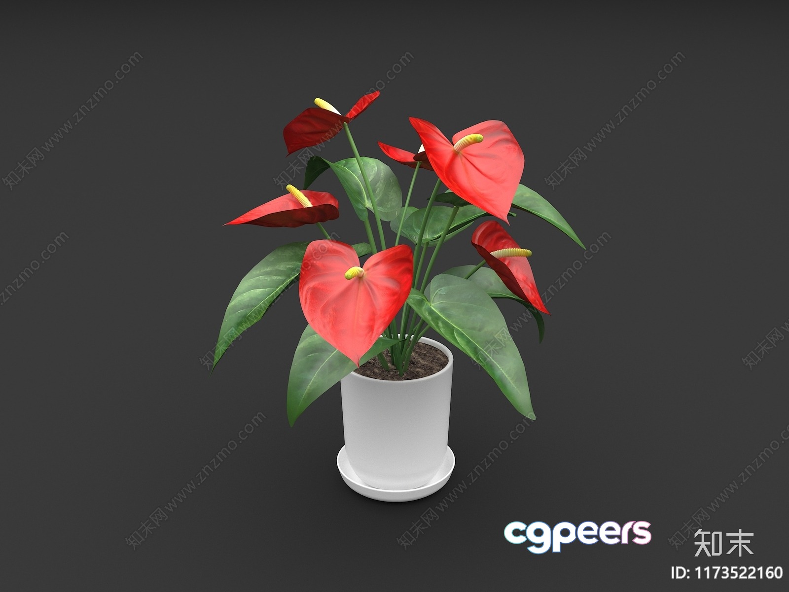 A Potted Plant With Red Flowers 3D Model - 683 - VRAY Render A Potted Plant With Red Flowers 3D Model - 683 - VRAY Render