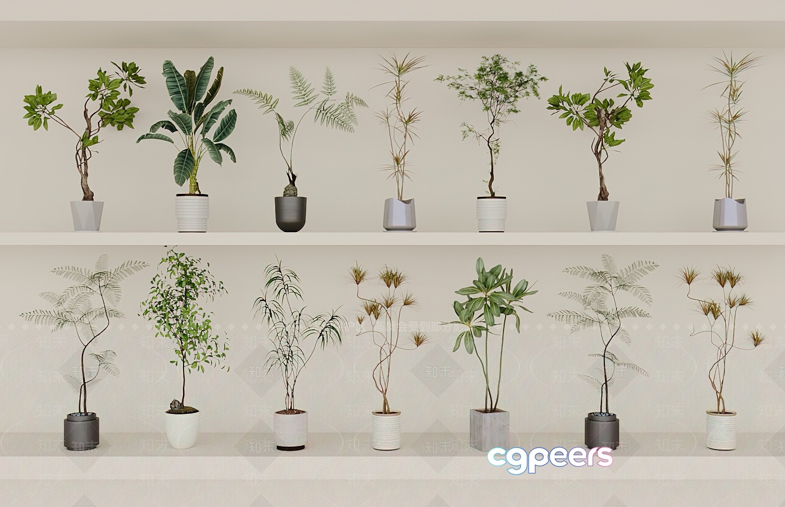 Potted Plants On Shelves 3D Model - 13685 - VRAY Render Potted Plants On Shelves 3D Model - 13685 - VRAY Render