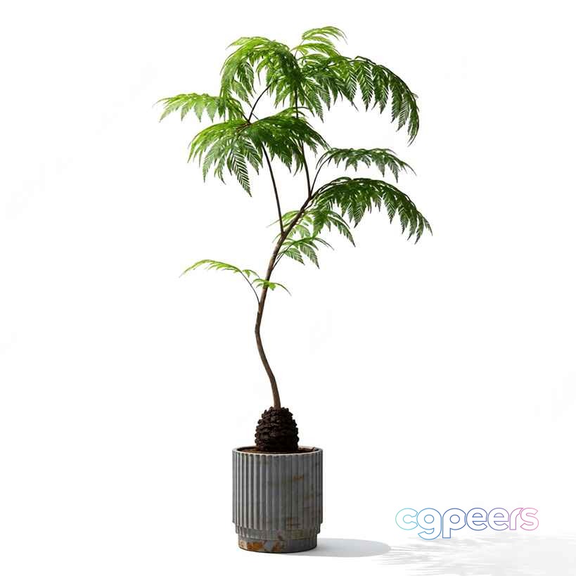 A Potted Plant 3D Model - 9010 - VRAY Render A Potted Plant 3D Model - 9010 - VRAY Render