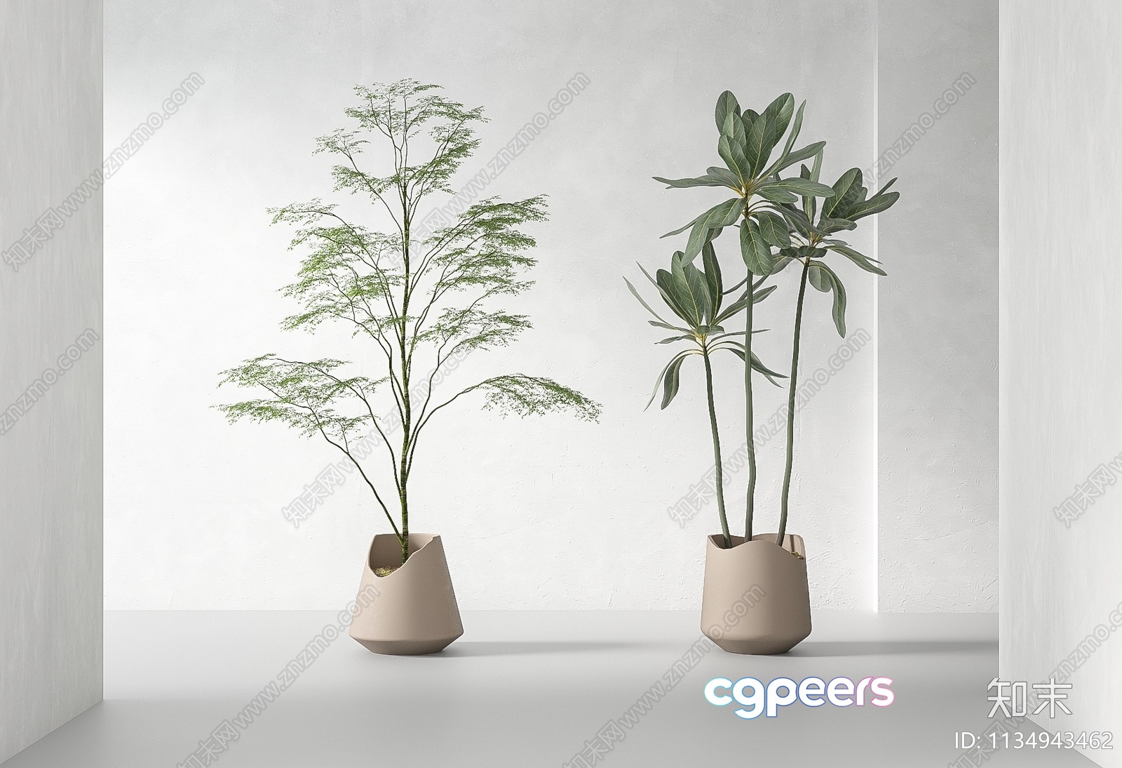 Two Potted Plants 3D Model - 1470 - VRAY Render Two Potted Plants 3D Model - 1470 - VRAY Render