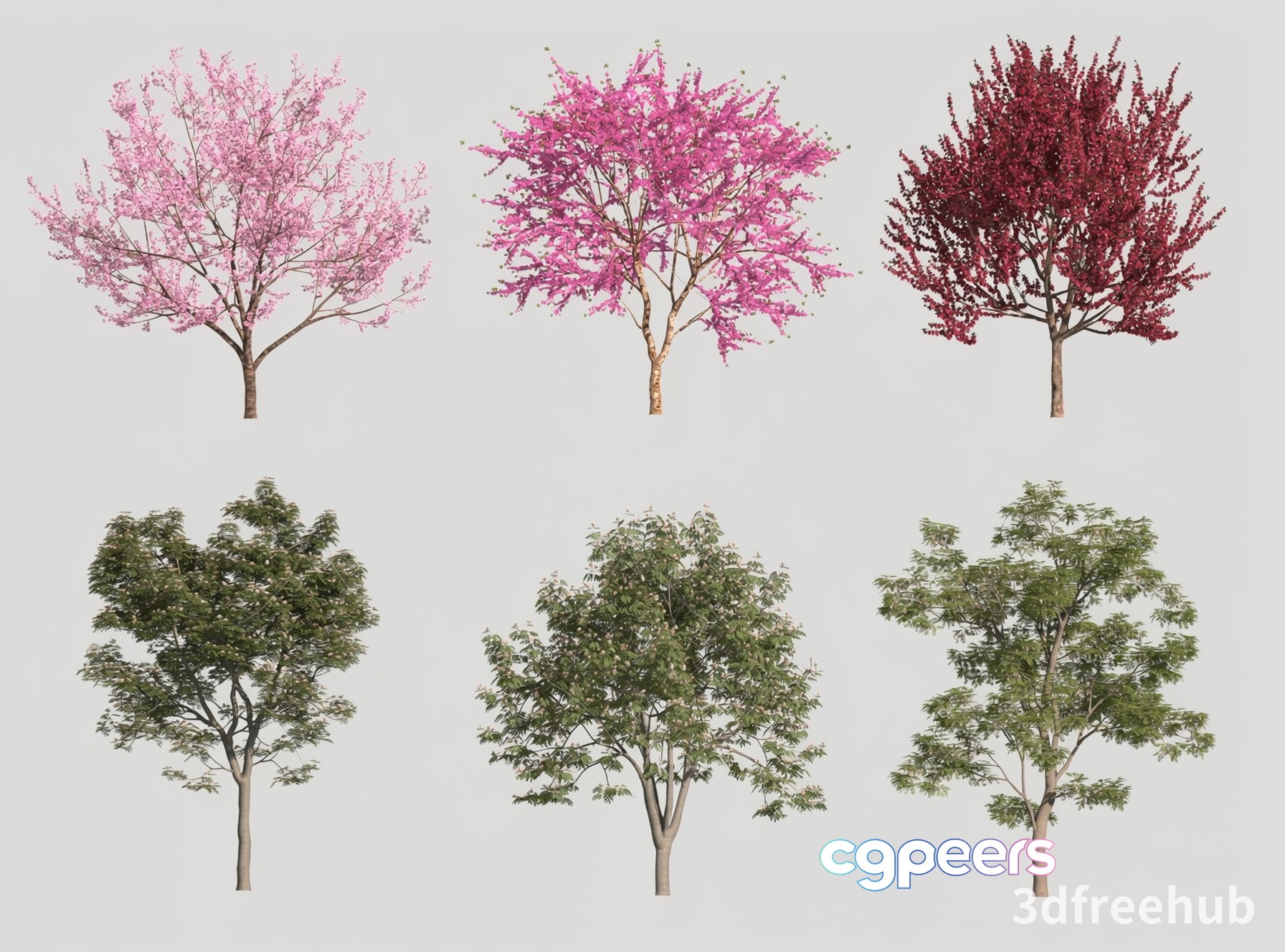 A Collection Of Trees 3D Model - 22983 - VRAY Render A Collection Of Trees 3D Model - 22983 - VRAY Render