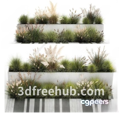 A 3D Rendering Of A Planter Box With Plants Possibly For 3D Model - 20920 - VRAY Render