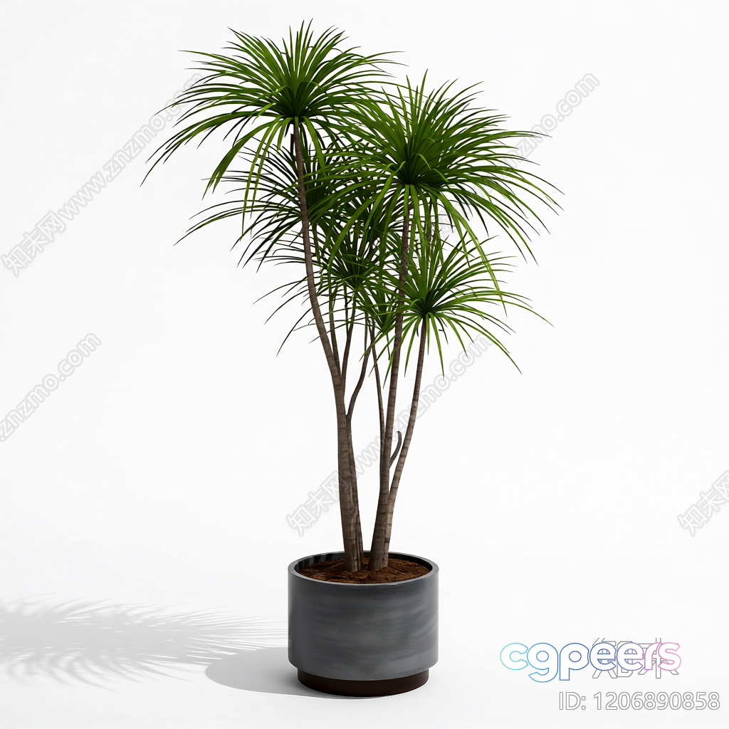 A Potted Plant With Long Green Leaves 3D Model - 10856 - VRAY Render