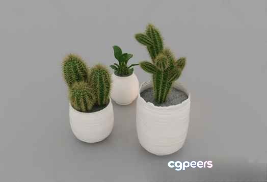 Small White Potted Plants 3D Model - 12881 - VRAY Render Small White Potted Plants 3D Model - 12881 - VRAY Render
