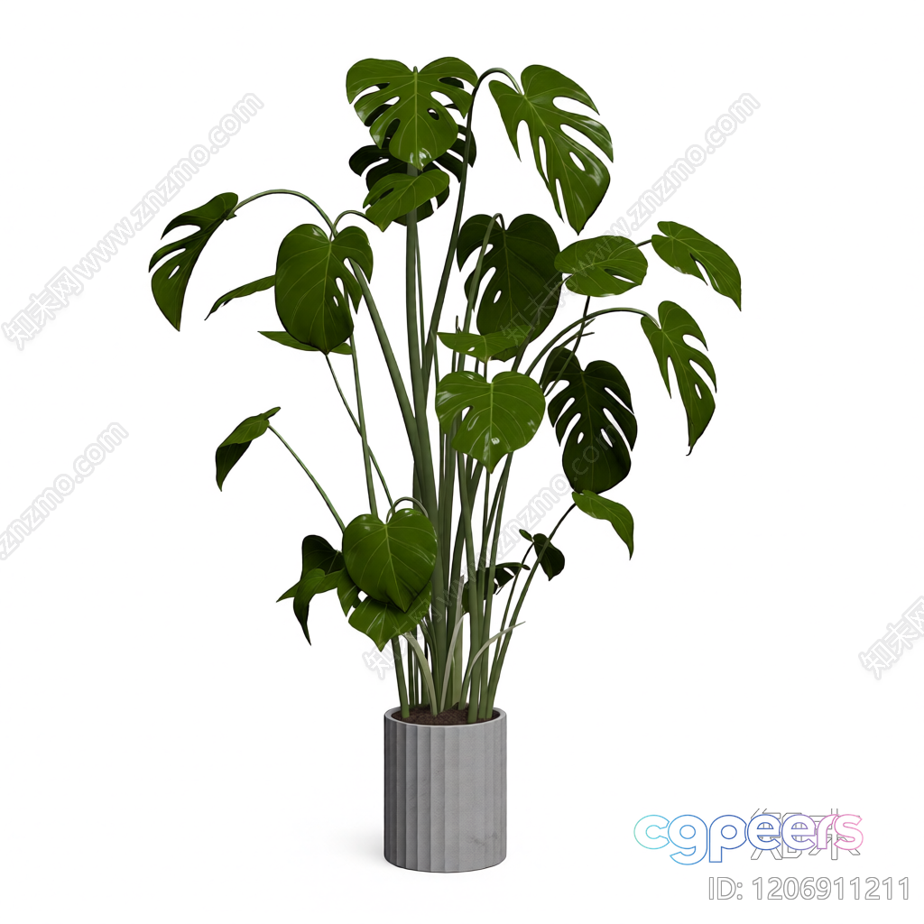 A Potted Plant 3D Model - 4402 - VRAY Render A Potted Plant 3D Model - 4402 - VRAY Render