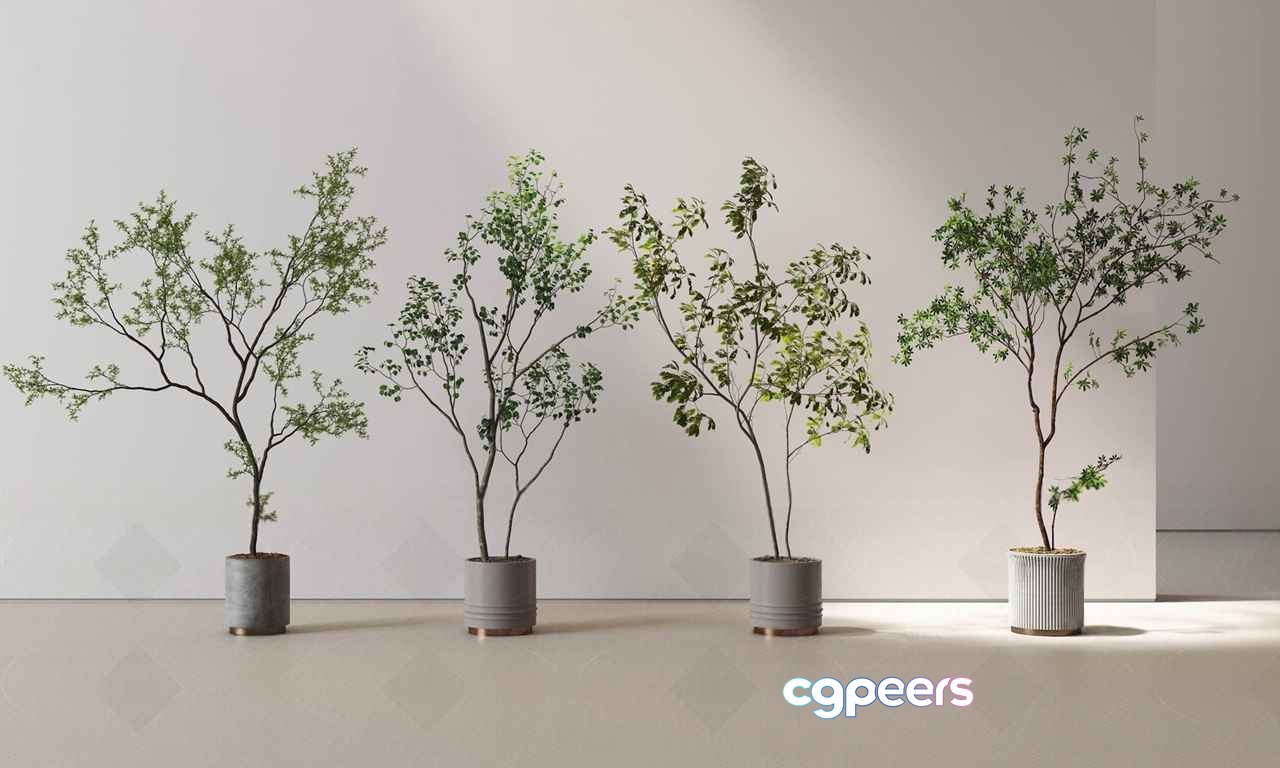 Four Potted Plants 3D Model - 20663 - VRAY Render Four Potted Plants 3D Model - 20663 - VRAY Render