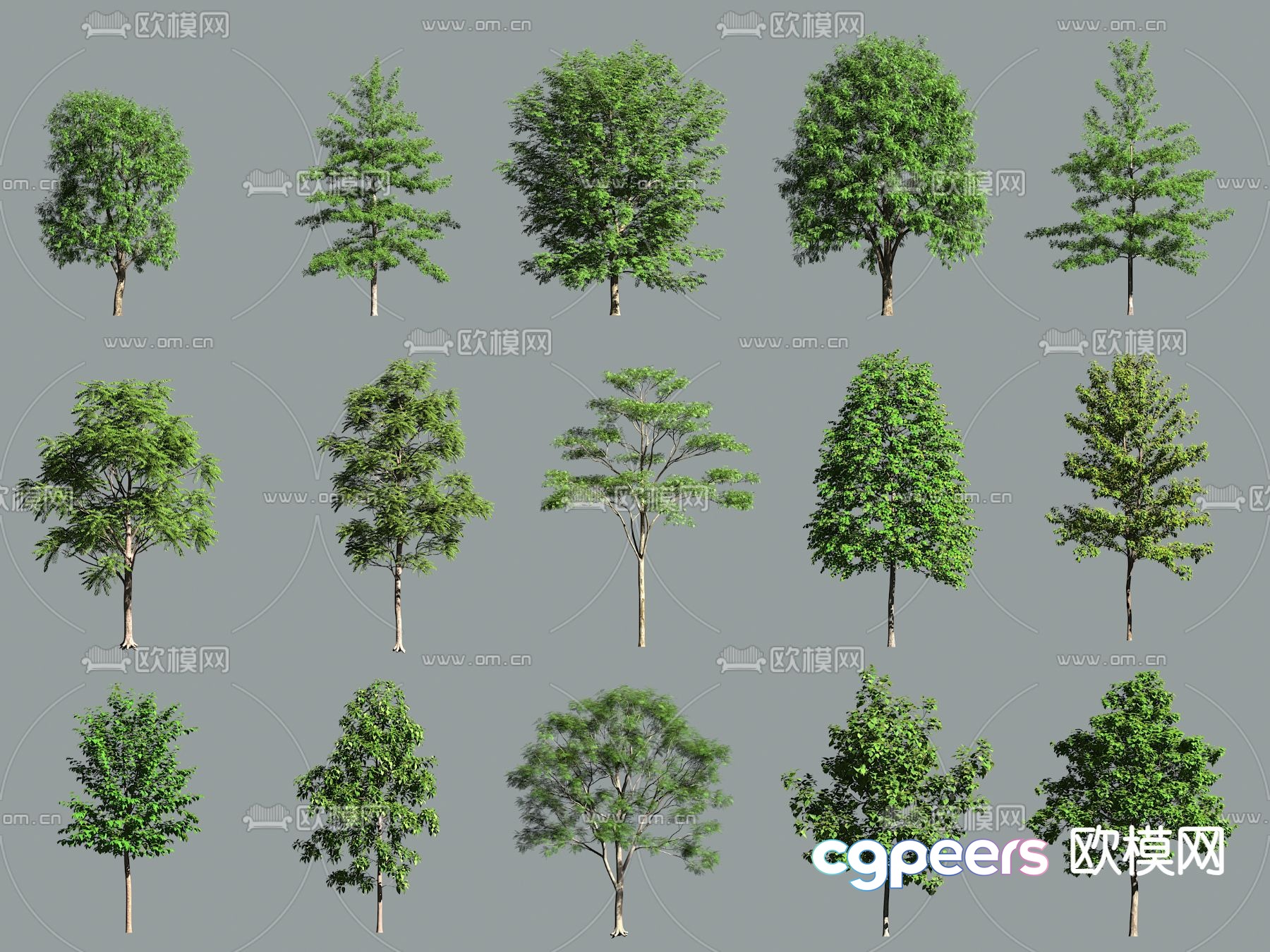 A Collection Of Trees 3D Model - 12203 - VRAY Render A Collection Of Trees 3D Model - 12203 - VRAY Render