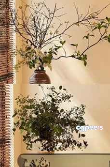 A Plant In A Pot 3D Model - 5275 - CORONA Render A Plant In A Pot 3D Model - 5275 - CORONA Render