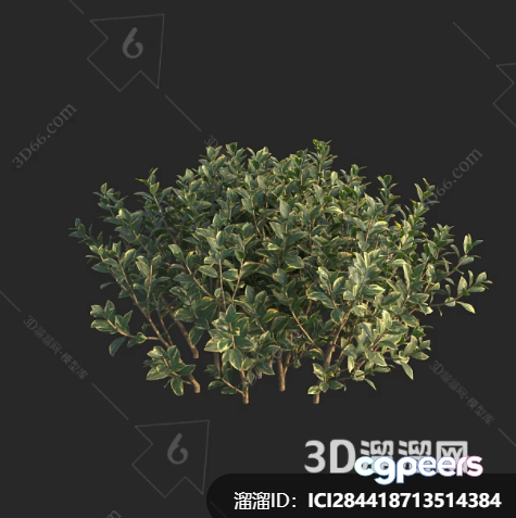 A 3D Illustration Of A Green Plant 3D Model - 22325 - VRAY Render A 3D Illustration Of A Green Plant 3D Model - 22325 - VRAY Render