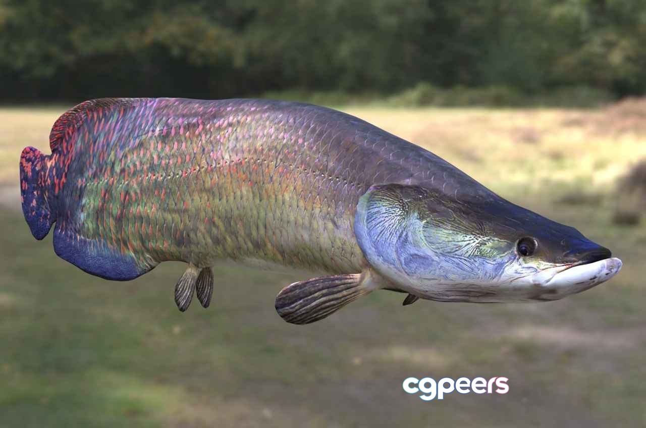 A Fish 3D Model - 18626 - VRAY Render A Fish 3D Model - 18626 - VRAY Render