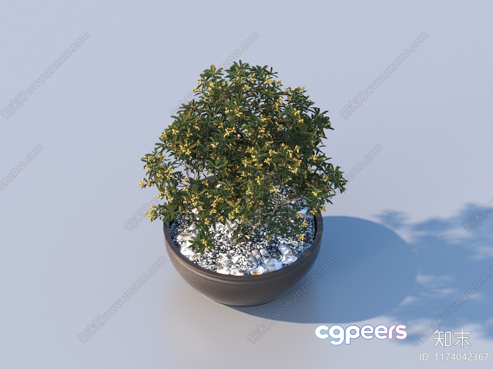 A Potted Plant With Yellow Flowers 3D Model - 13995 - VRAY Render A Potted Plant With Yellow Flowers 3D Model - 13995 - VRAY Render