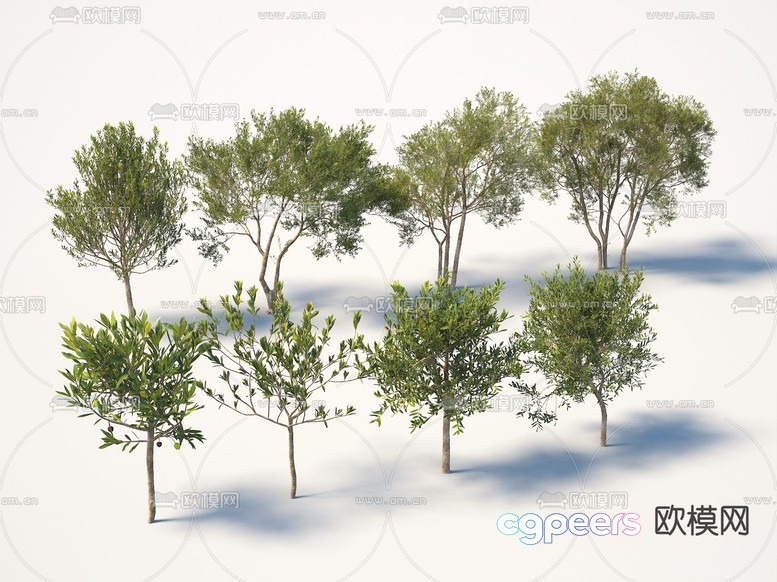 Small Trees 3D Model - 16274 - VRAY Render