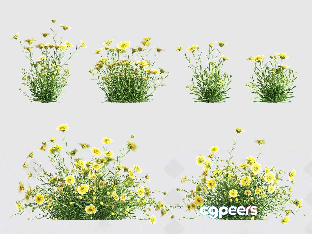 Yellow Flowers 3D Model - 15654 - VRAY Render