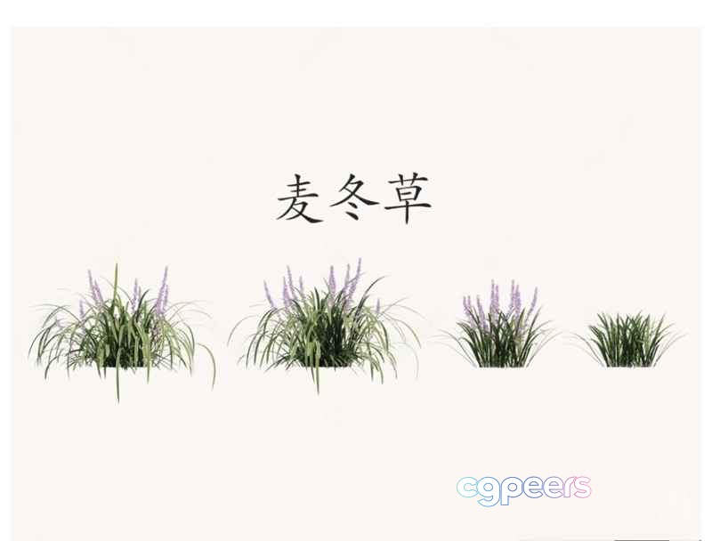 A Plant With Purple Flowers 3D Model - 22346 - VRAY Render