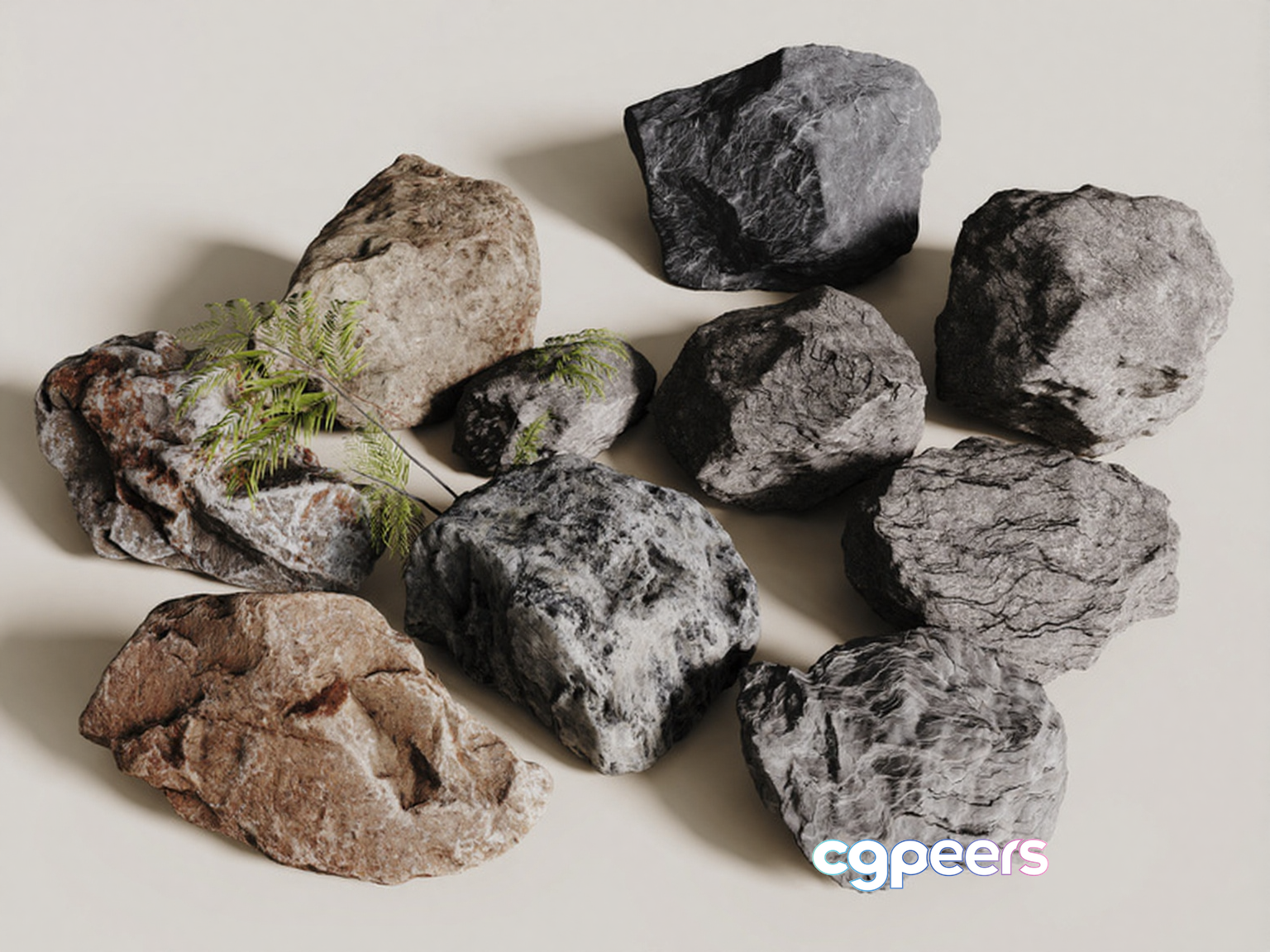 Rocks With A Plant 3D Model - 12037 - CORONA Render