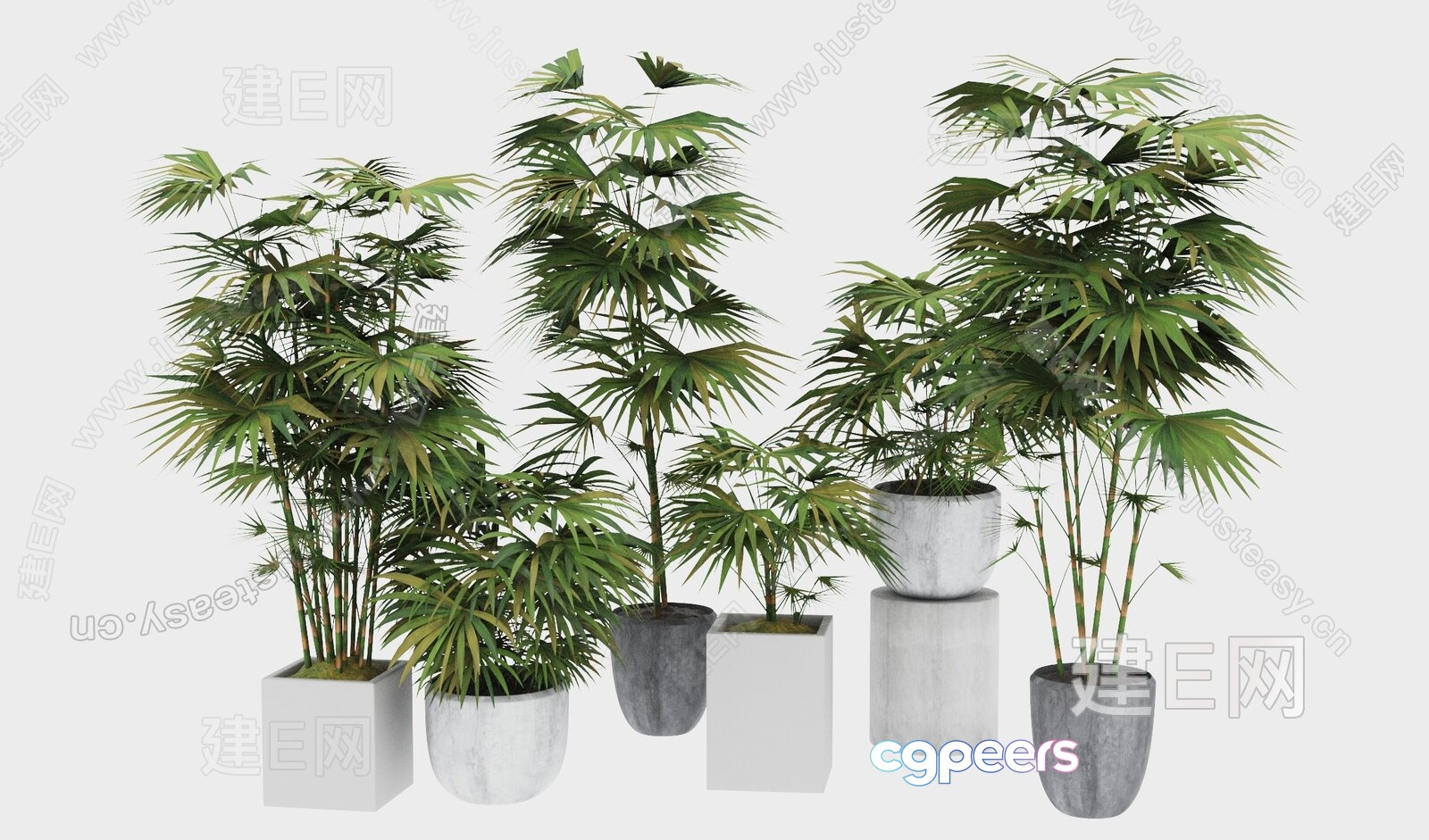 Potted Palm Trees 3D Model - 16318 - VRAY Render Potted Palm Trees 3D Model - 16318 - VRAY Render