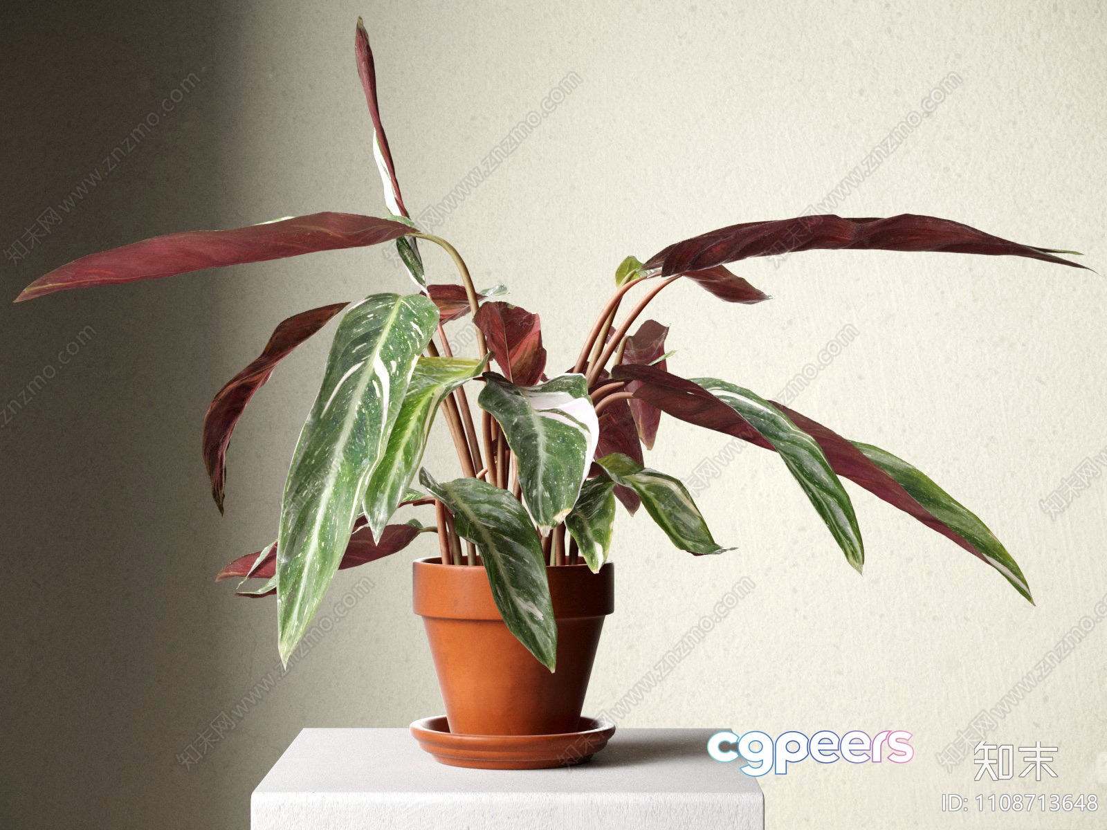 A Potted Plant With Green And Red Leaves 3D Model - 18366 - VRAY Render A Potted Plant With Green And Red Leaves 3D Model - 18366 - VRAY Render