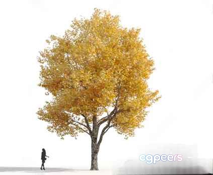 A Person Walking Near A Tree 3D Model - 18630 - VRAY Render