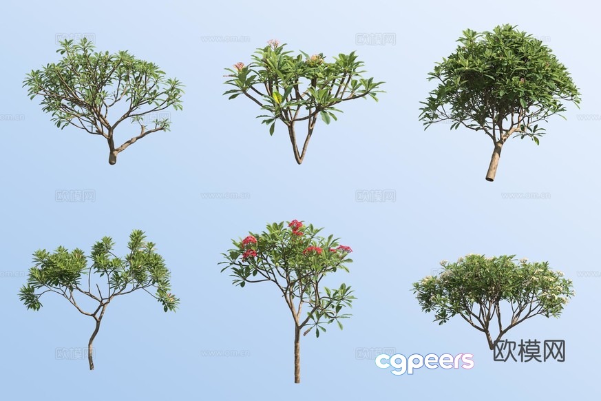 The Image Features A Collection Of Trees 3D Model - 17096 - VRAY Render