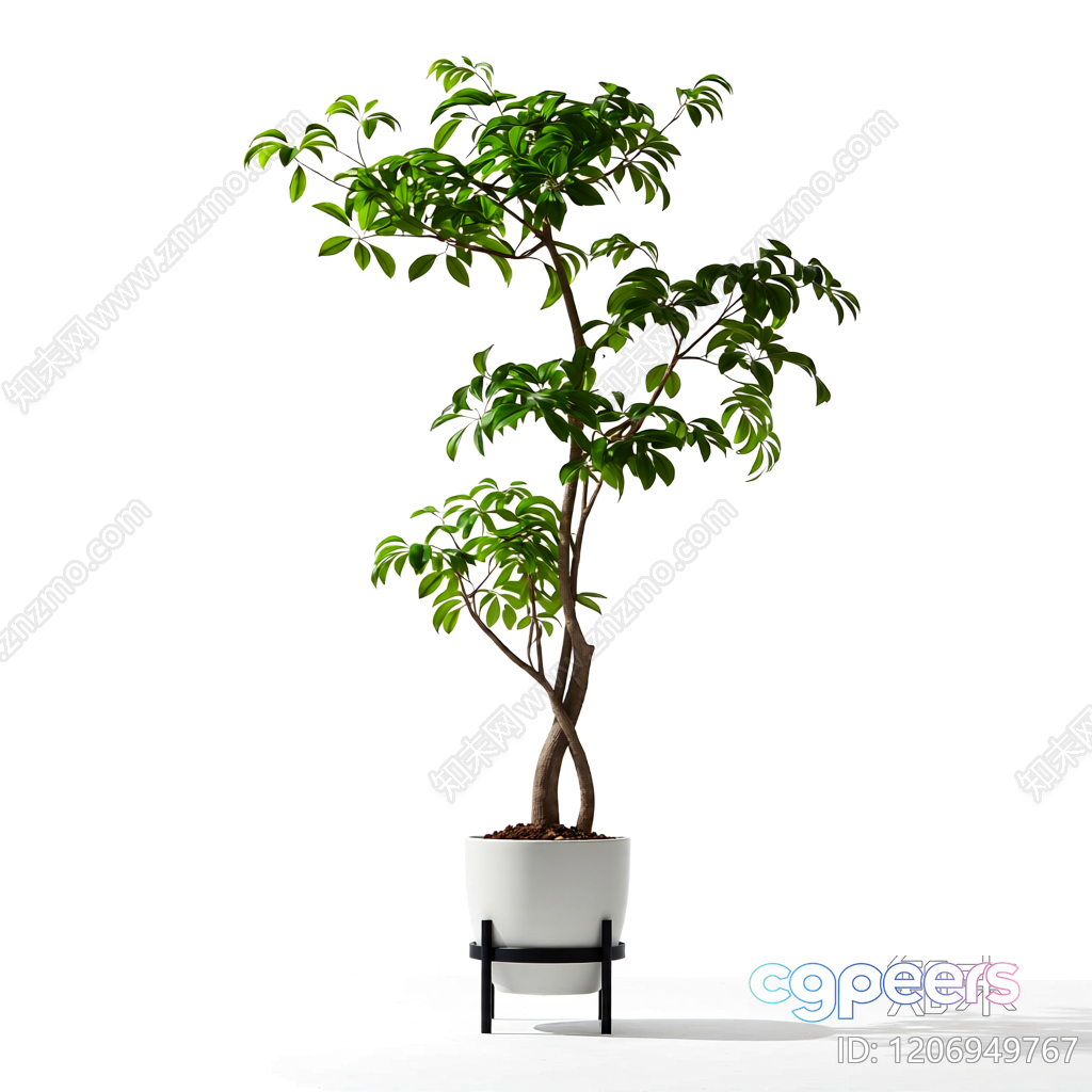 A Potted Plant 3D Model - 8659 - VRAY Render