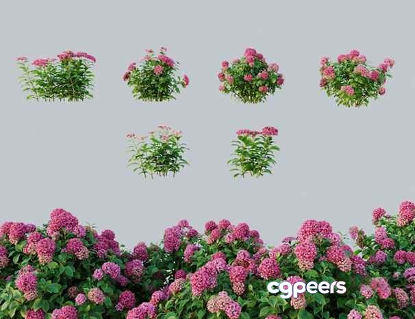 Pink Flowers 3D Model - 6274 - CORONA Render Pink Flowers 3D Model - 6274 - CORONA Render