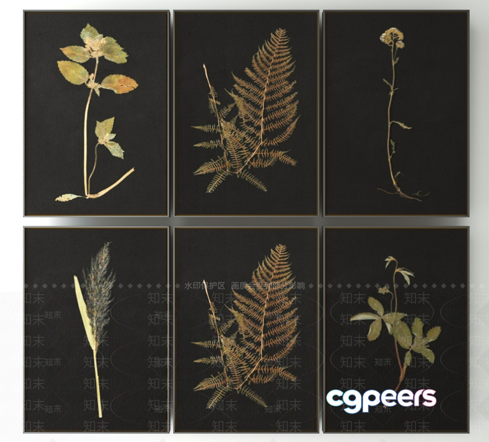 A Collection Of Six Nature-Themed Prints 3D Model - 22871 - VRAY Render