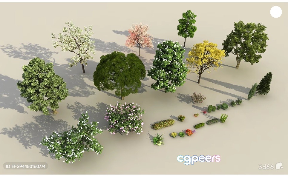 3D Render Of Trees 3D Model - 5282 - VRAY Render