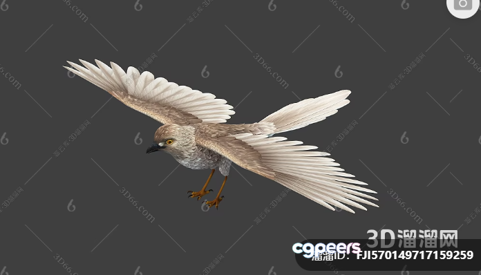 A Bird In Flight 3D Model - 13867 - VRAY Render