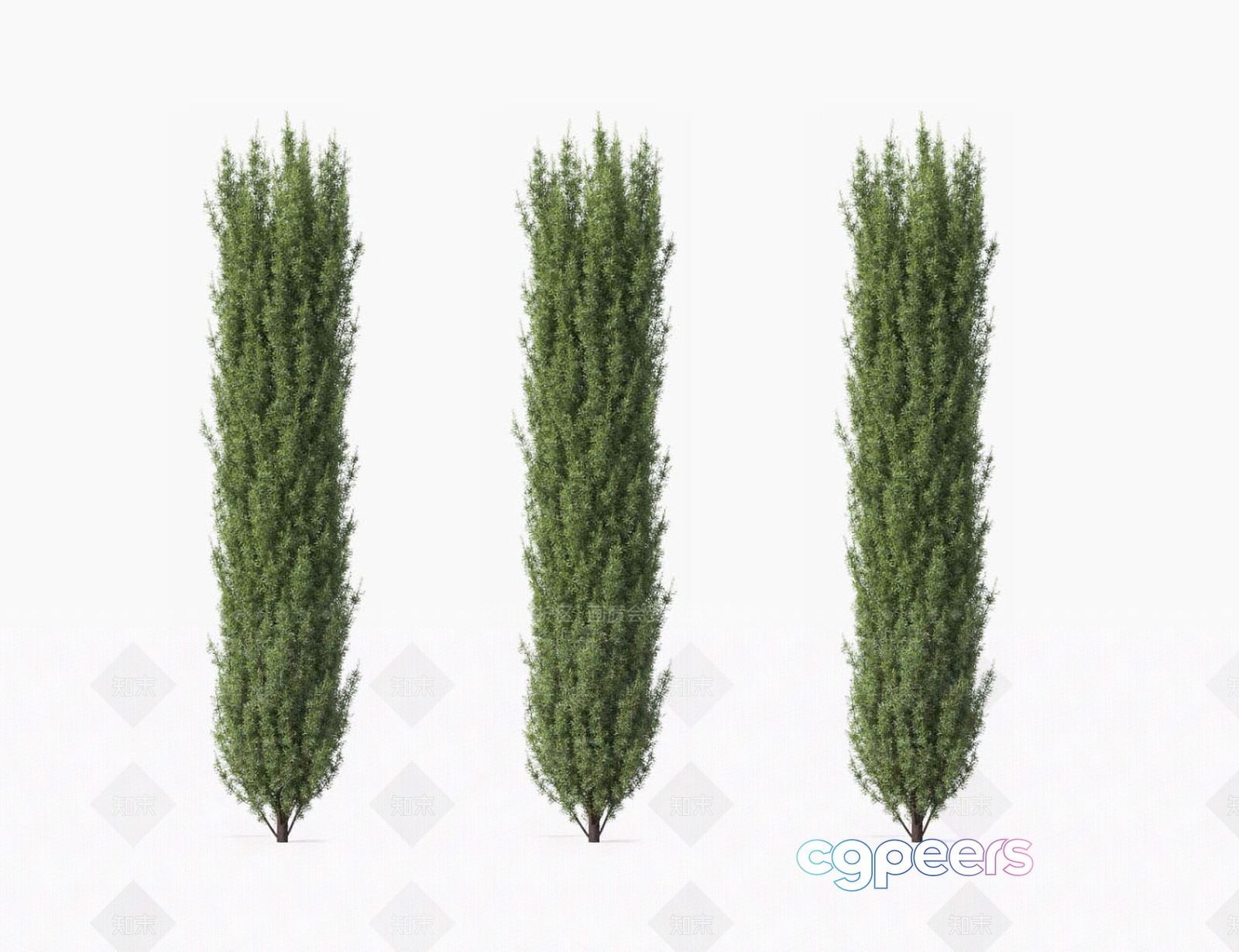 Three Trees 3D Model - 5150 - VRAY Render