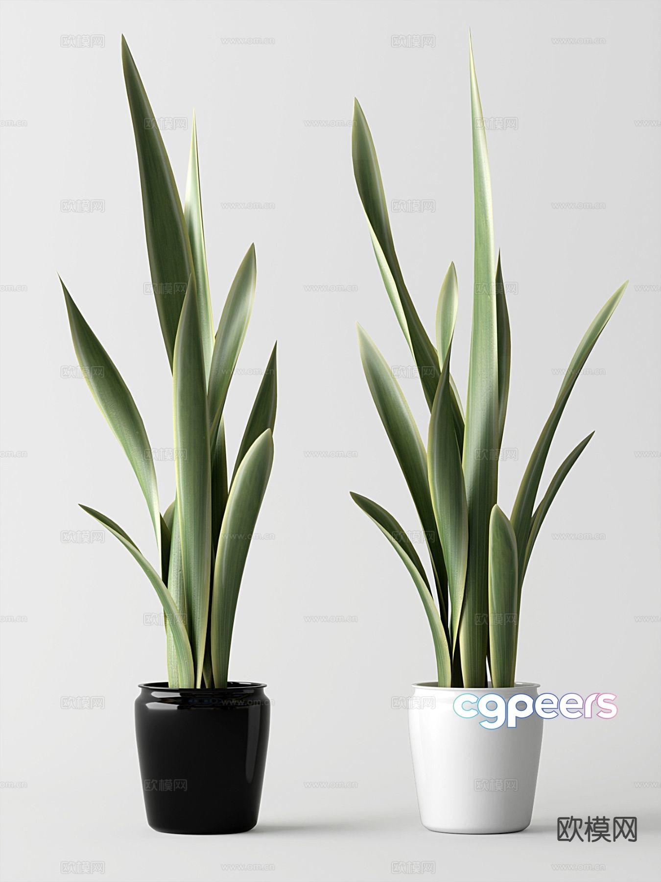 Two Potted Plants 3D Model - 8348 - VRAY Render Two Potted Plants 3D Model - 8348 - VRAY Render