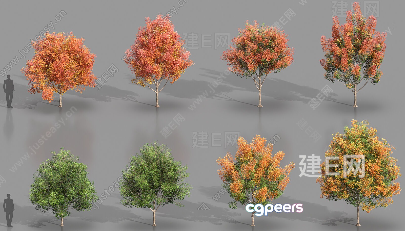 A Tree With Yellow Leaves 3D Model - 3142 - VRAY Render A Tree With Yellow Leaves 3D Model - 3142 - VRAY Render