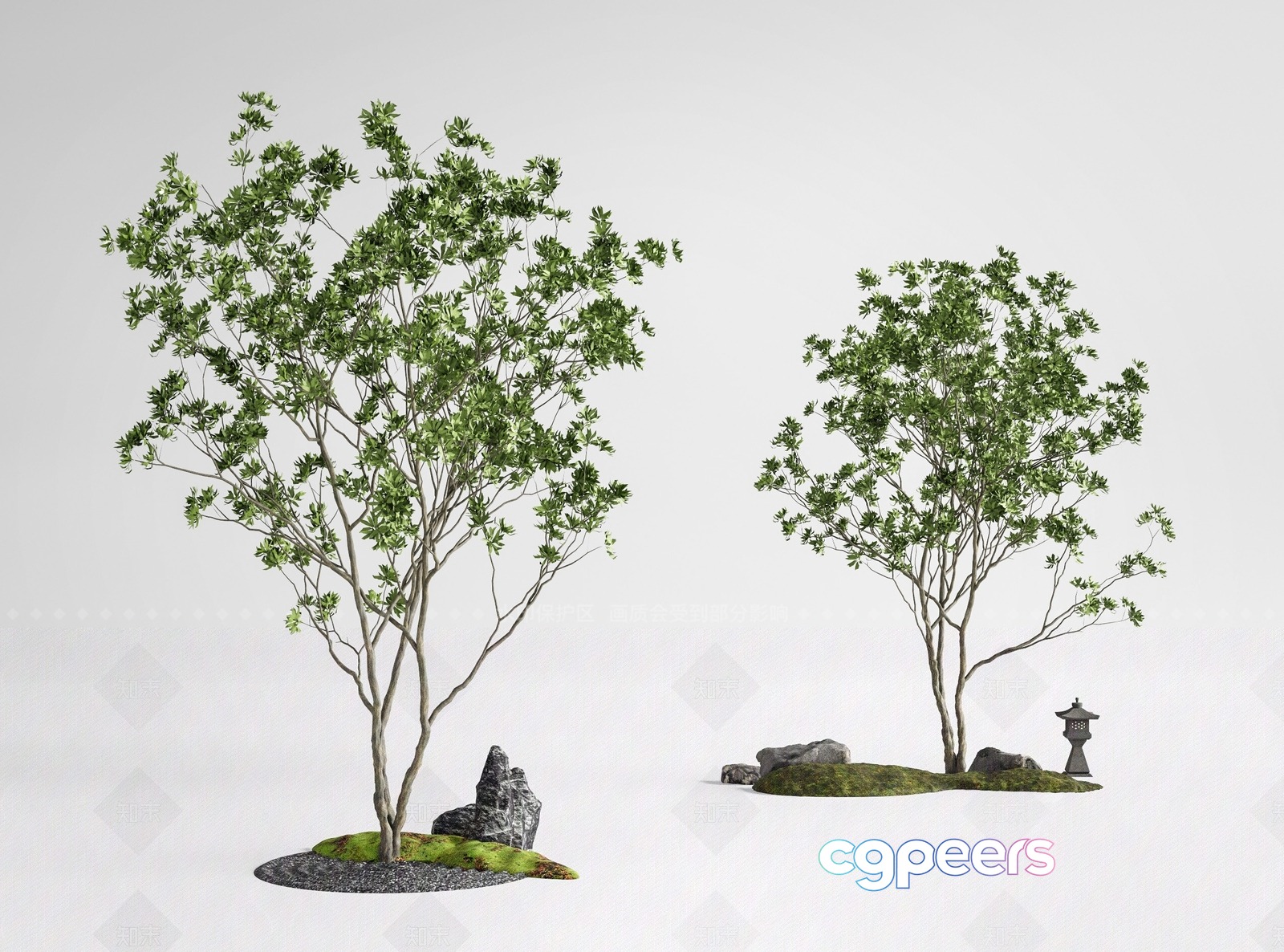 A Tree With Green Leaves 3D Model - 15777 - VRAY Render