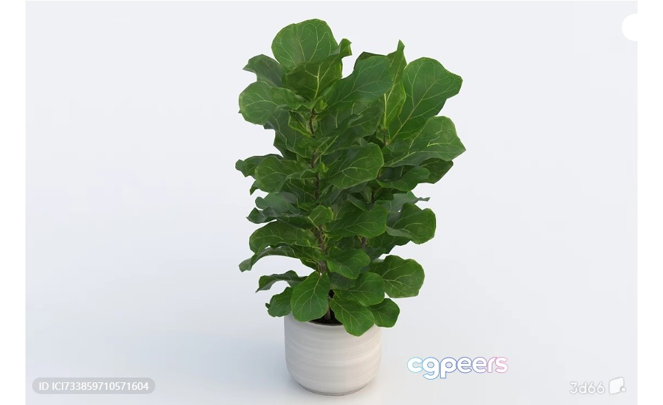 Green Plant In A Pot 3D Model - 13189 - VRAY Render