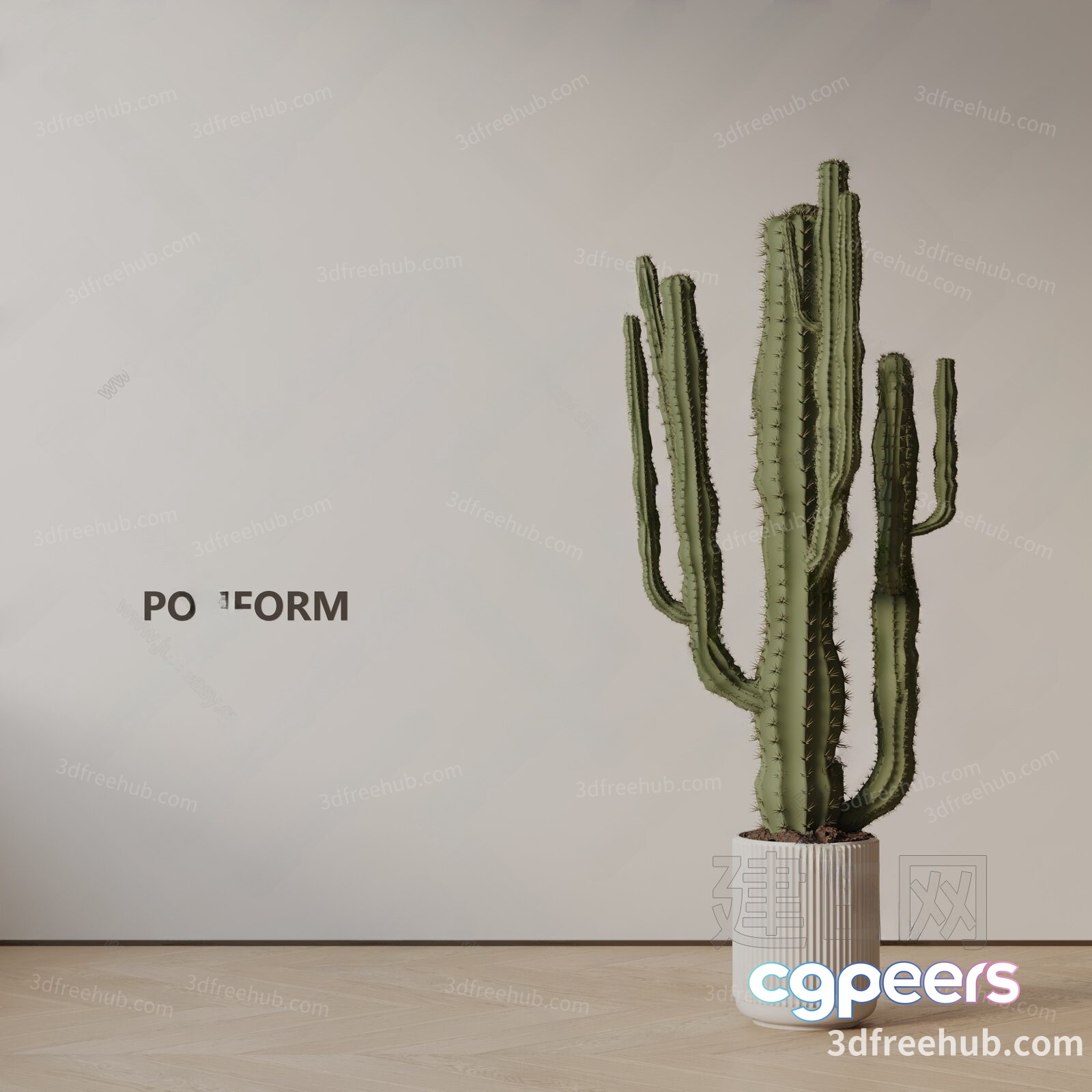A Cactus In A White Pot 3D Model - 19401 - VRAY Render