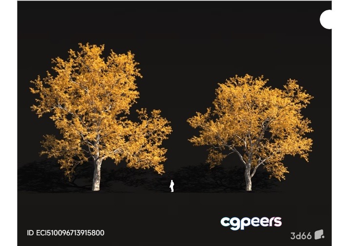 The Main Subject Is Two Trees With Yellow Leaves 3D Model - 17538 - VRAY Render