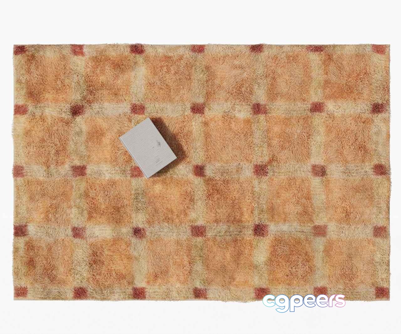 A Rectangular Rug With A Grid Pattern 3D Model - 9094 - VRAY Render