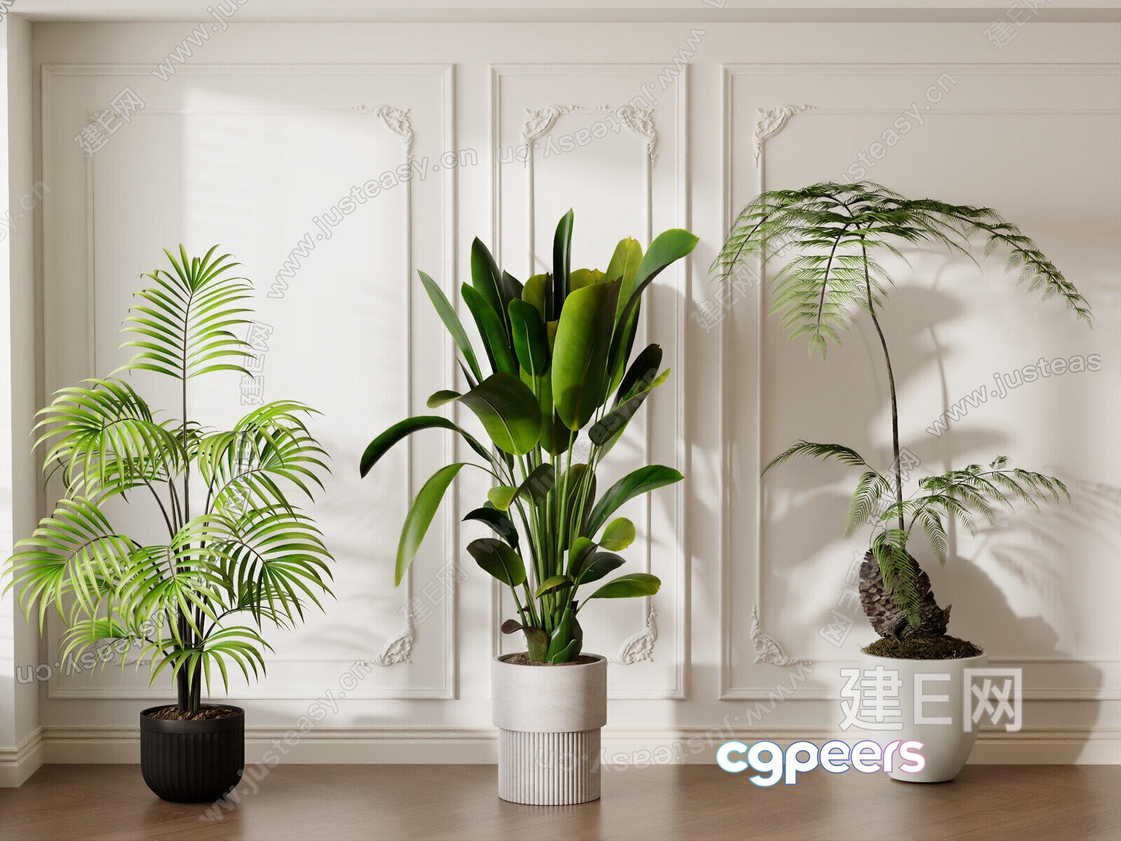 Three Potted Plants 3D Model - 15728 - VRAY Render Three Potted Plants 3D Model - 15728 - VRAY Render
