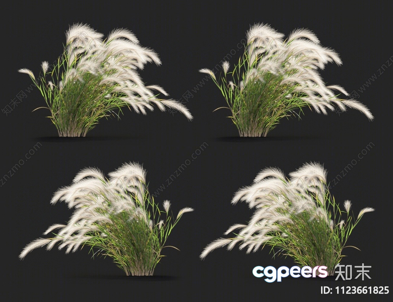 White Grass With Green Stems 3D Model - 8598 - VRAY Render