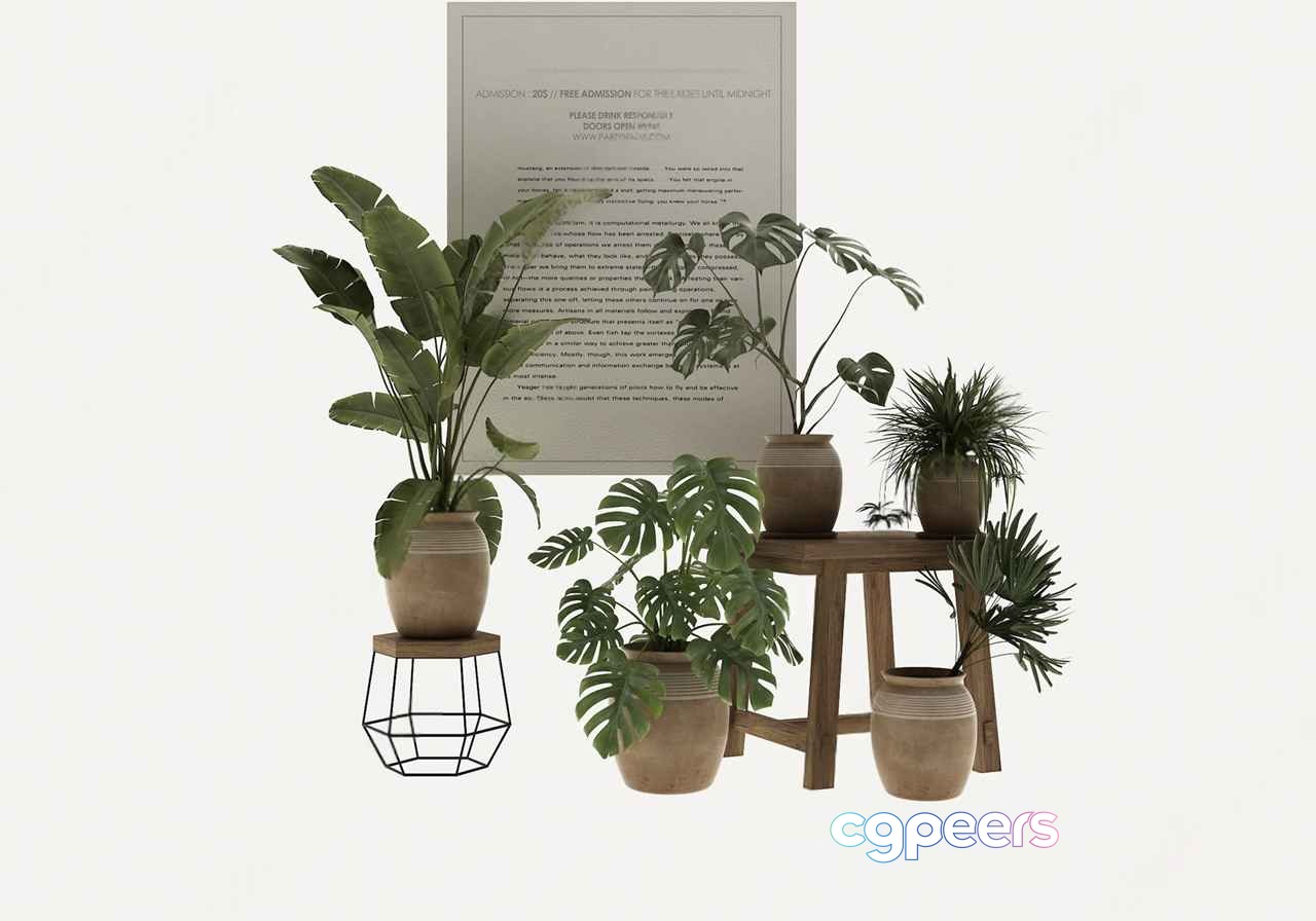Modern Indoor Plants 3D Model - 10587 - VRAY Render Modern Indoor Plants 3D Model - 10587 - VRAY Render